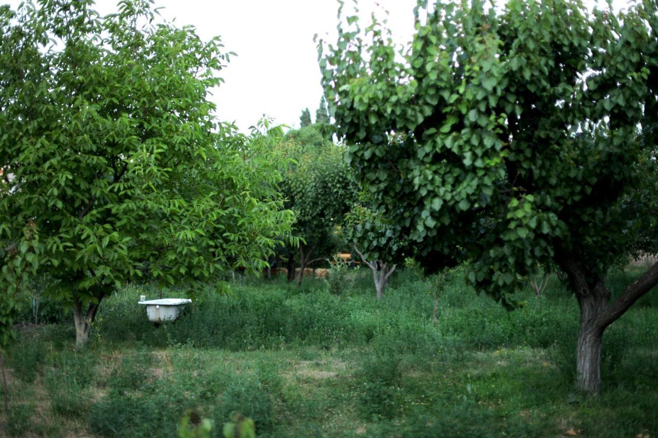 Noosh Guesthouse Ashnak Buitenkant foto