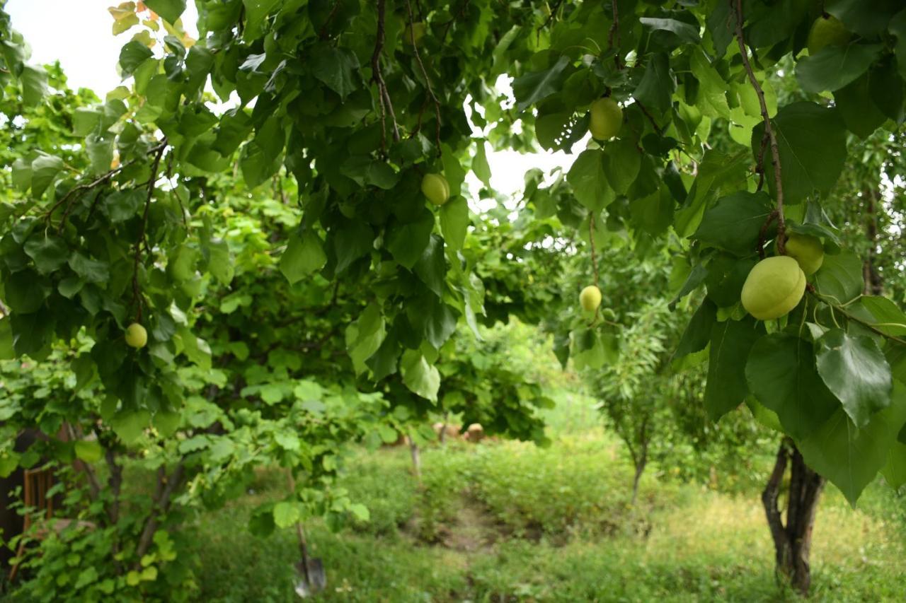 Noosh Guesthouse Ashnak Buitenkant foto